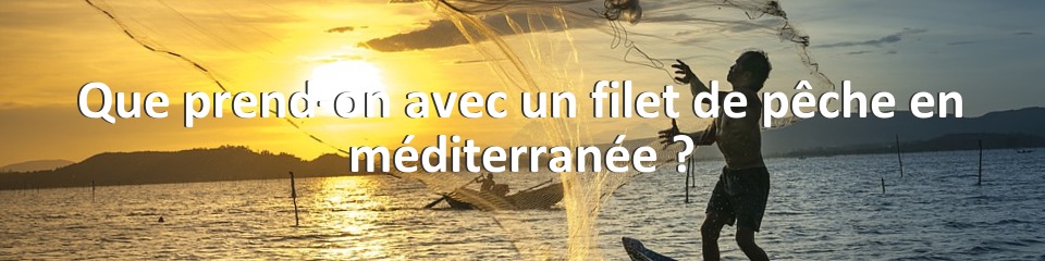 Que prend-on avec un filet de pêche en méditerranée ?