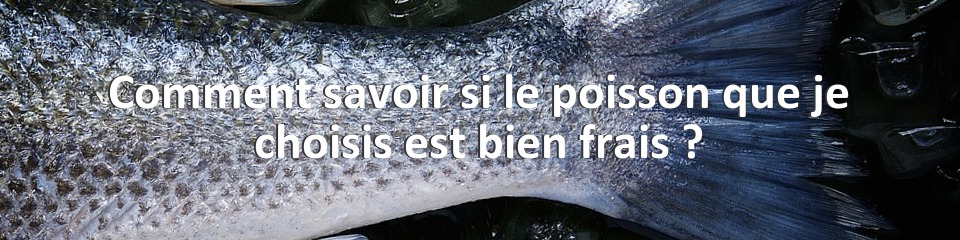 Comment savoir si le poisson que je choisis est bien frais ?