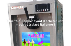 Que faut-il savoir avant d’acheter une machine à glace italienne ?