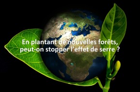 En plantant de nouvelles forêts, peut-on stopper l’effet de serre ?