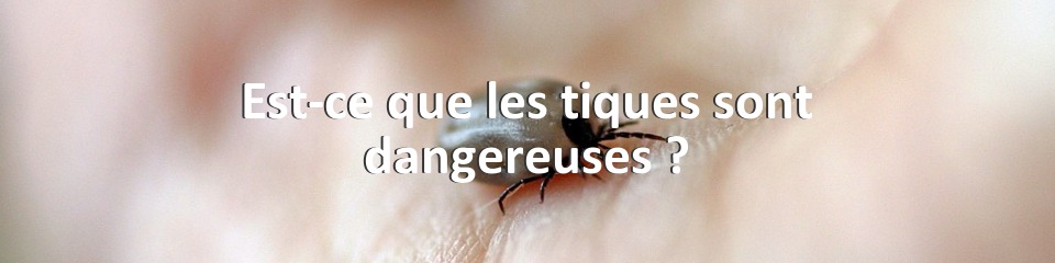 Est-ce que les tiques sont dangereuses ?