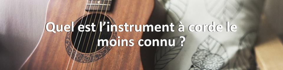 Quel est l’instrument à corde le moins connu ?