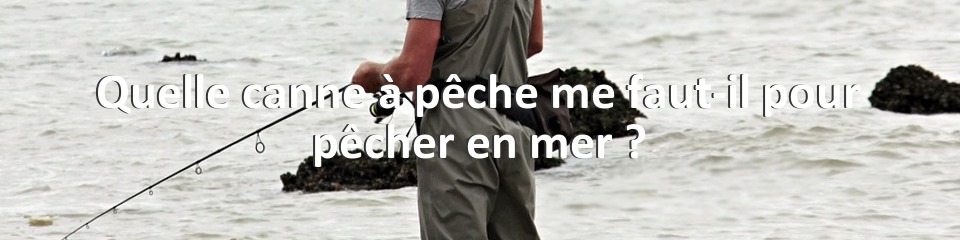 Quelle canne à pêche me faut-il pour pêcher en mer ?