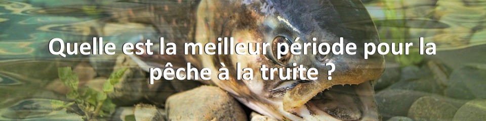 Quelle est la meilleur période pour la pêche à la truite ?