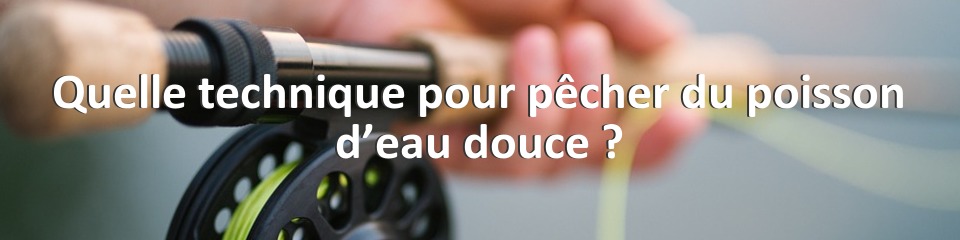 Quelle technique pour pêcher du poisson d’eau douce ?