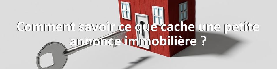 Comment savoir ce que cache une petite annonce immobilière ?