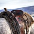 En quelle matière est faite une selle de cheval ?