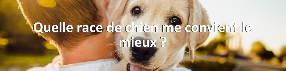 Quelle race de chien me convient le mieux ?