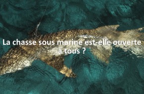 La chasse sous marine est-elle ouverte à tous ?