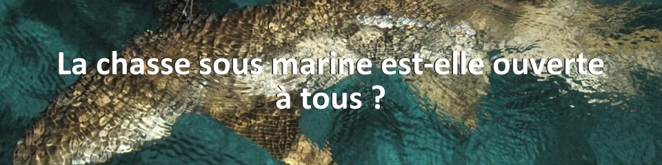 La chasse sous marine est-elle ouverte à tous ?